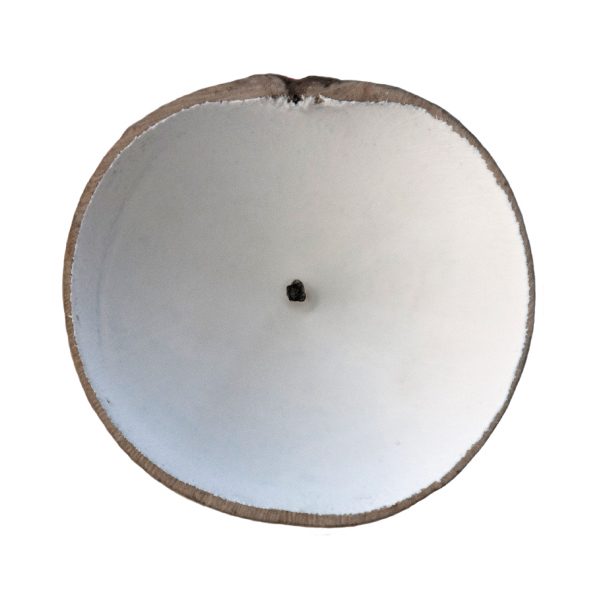 cartel-ursula-tutosaus-estudio-pi